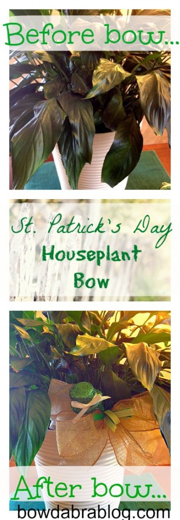 st. Patrick's day houseplant bow