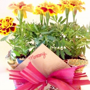 Mother’s Day Potted Flower Wrapped Gift