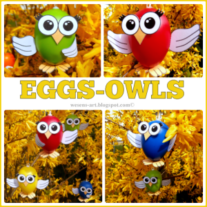 Eggs Owls
