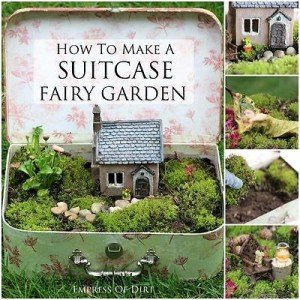 Fairy Garden In a Suitcase