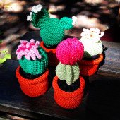 Crochet Cacti