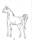 Free Printable Horse coloring Page