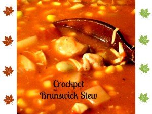 Brunswick stew