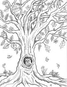 Free Printable Autumn Owl Tree Coloring Page