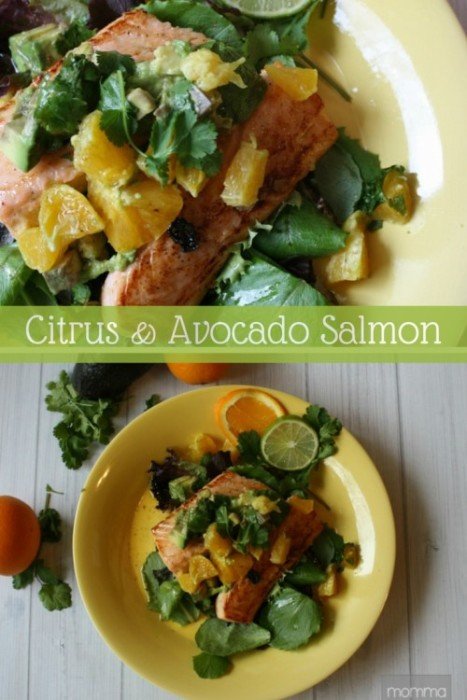 Avocado Salmon Recipe
