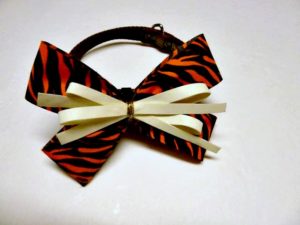How to Make Dog Hair Bows with Bowdabra tool