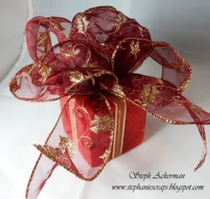 adorable Christmas Package Gifts