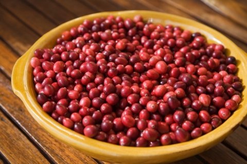 homemade cranberry relish