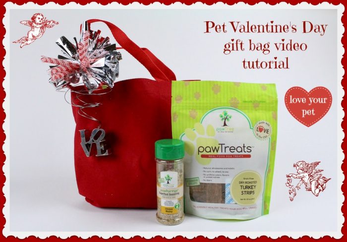 Pet Valentine's Day gift bag craft ideas