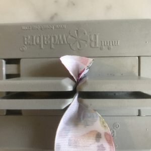 Shopkins Ribbon in Bowdabra