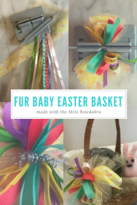 Pet's Easter basket