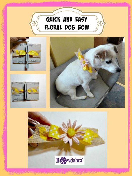 Floral dog bow