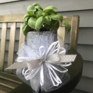 Recycled Bottle with Bow