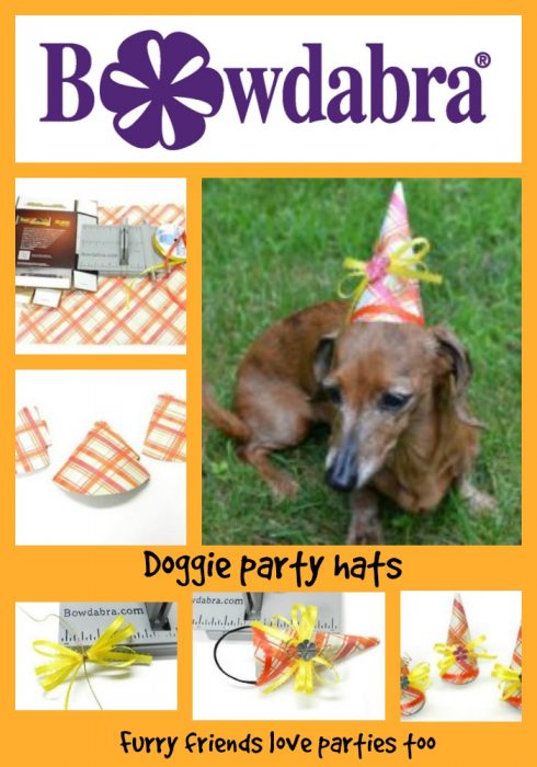 Doggie party hats