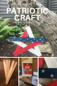 Patriotic Craft from Paint Stirs