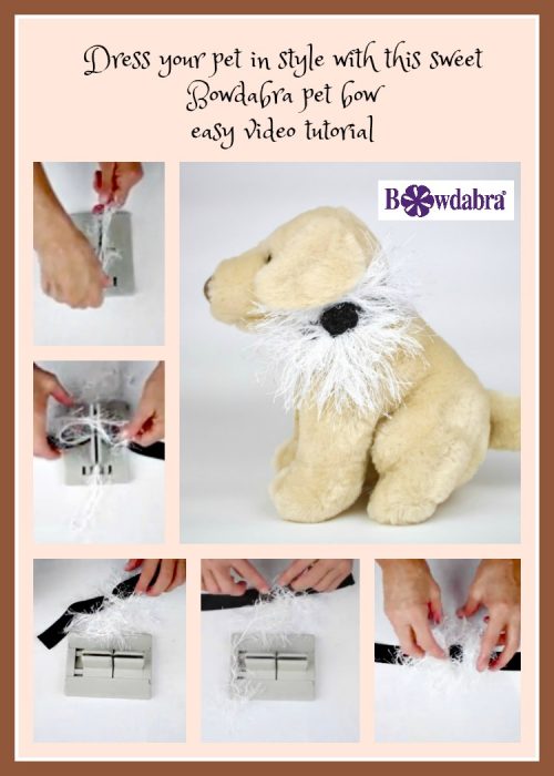 dress your per in style with this sweet Bowdabra pet bow easy video tutorial