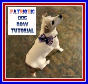 Patriotic dog bow tutorial