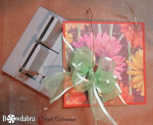 Boxed Easel Card with Bowdabra