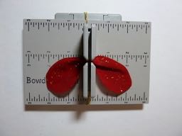 festive butterfly hair bow