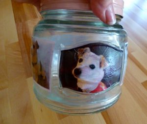 doggy treat jar
