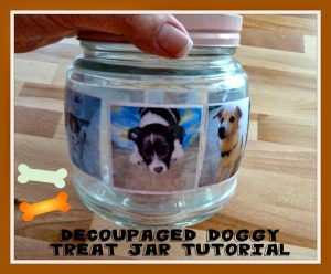 doggy treat jar