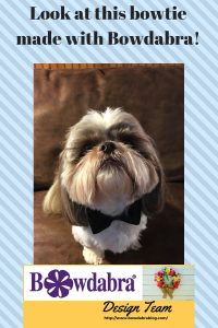 How to make a fun Bowdabra pet bow tie