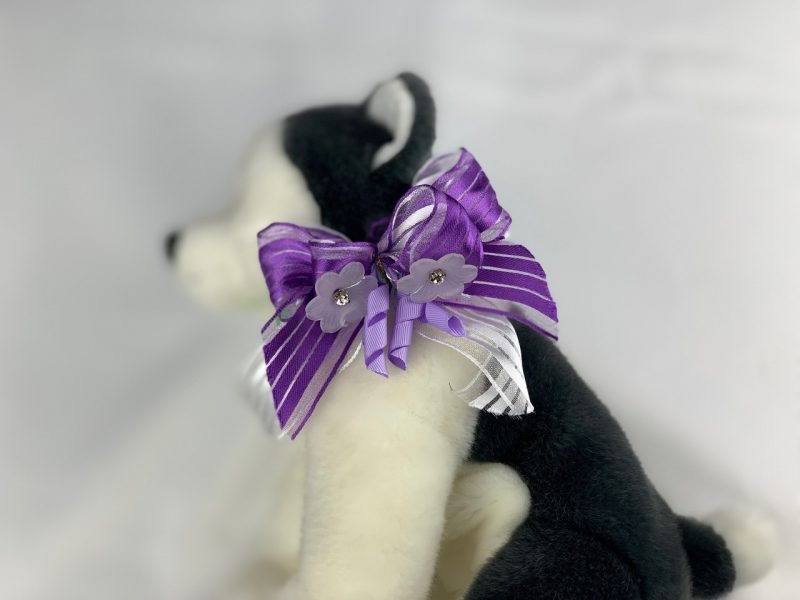 beautiful pony holder and spring bow