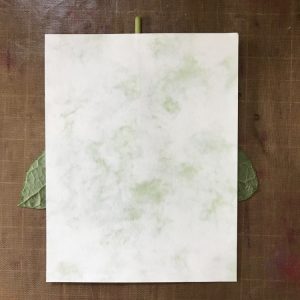 Lay Paper on Top of Leaf