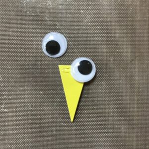Glue Googly Eyes to Top of Beak