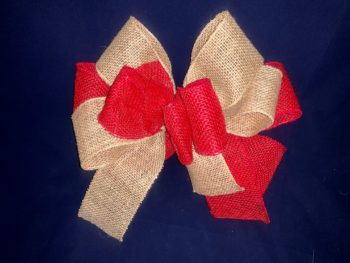 Double ribbon bow