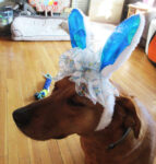 How to decorate fun Easter bunny ears in minutes with the Bowdabra