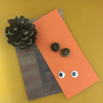 Supplies for Pine Cone Owl