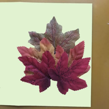 Arrange Leaves on Card Front