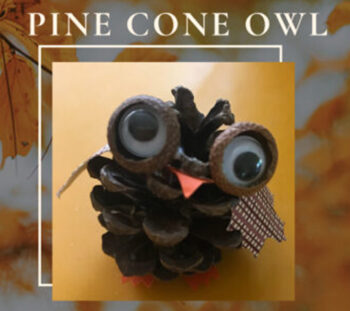 Pine Cone Owl