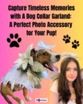How To Make A jaw-dropping Dog Collar Garland