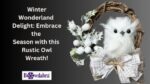 How to  make the most adorable rustic owl wreath