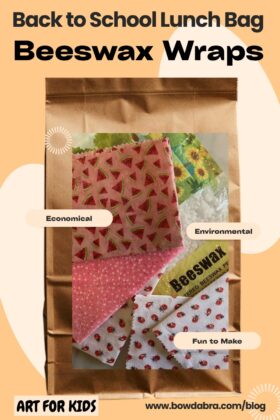 Lunch Bag Beeswax Wraps